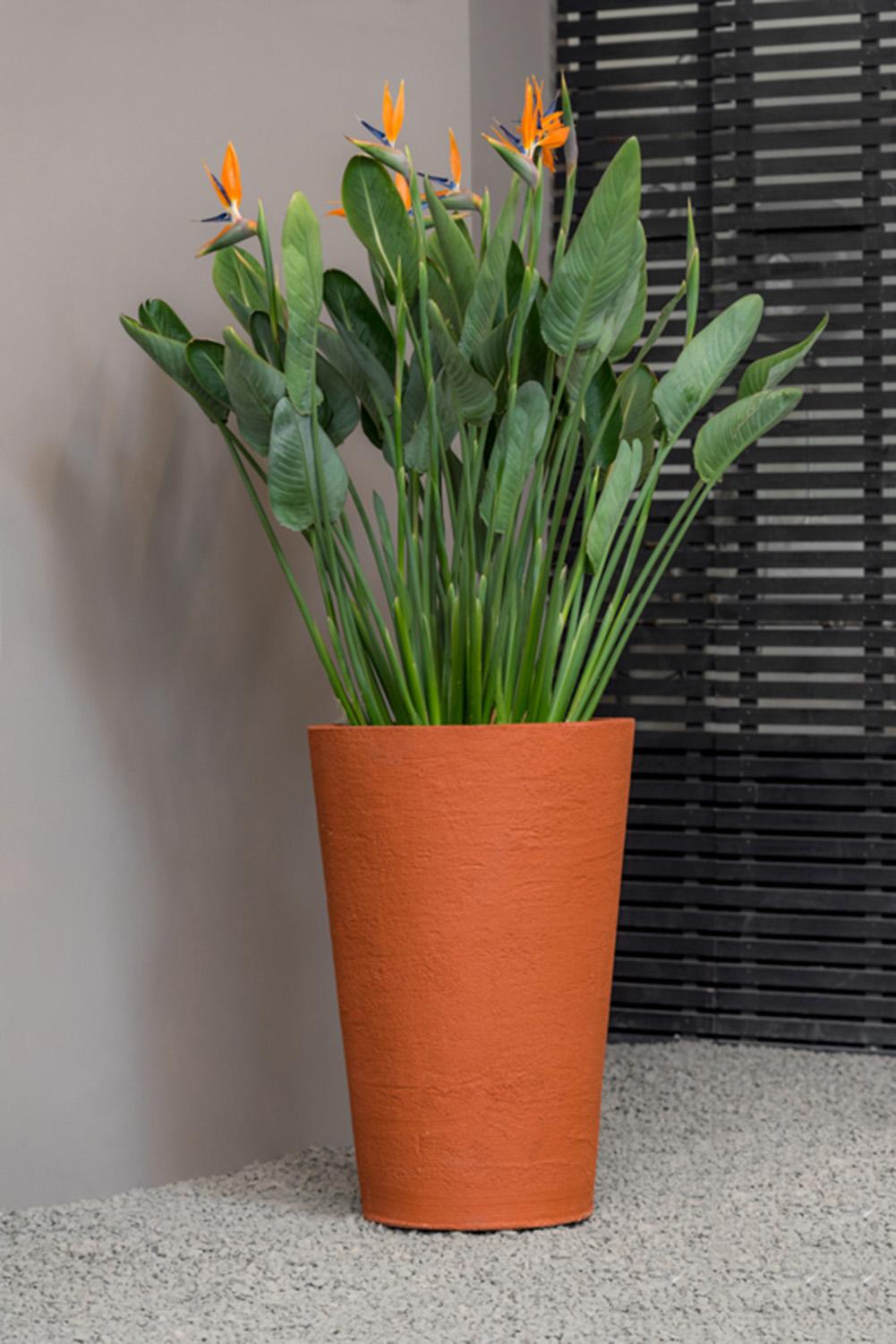 Fibrestone Belle Tall Planter by Idealist Premium
