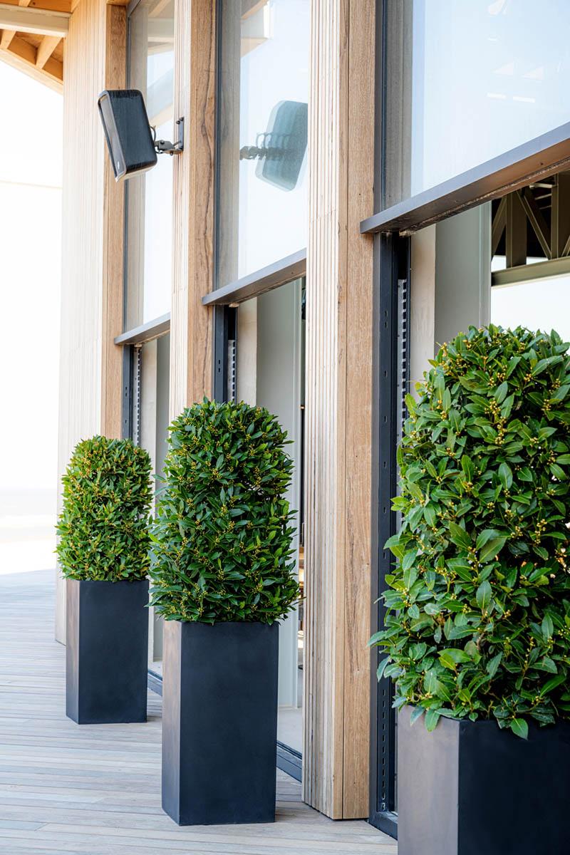 Tall Fiberstone Square Planter by Idealist Premium BOUVY