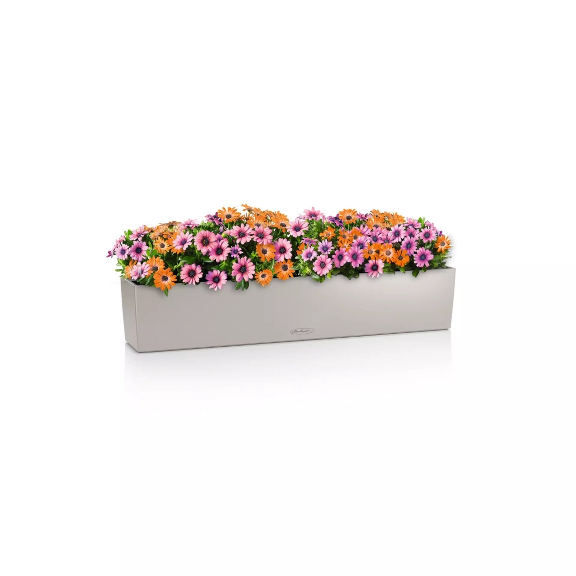 LECHUZA BALCONERA Color Trough Poly Resin Self-watering Planter