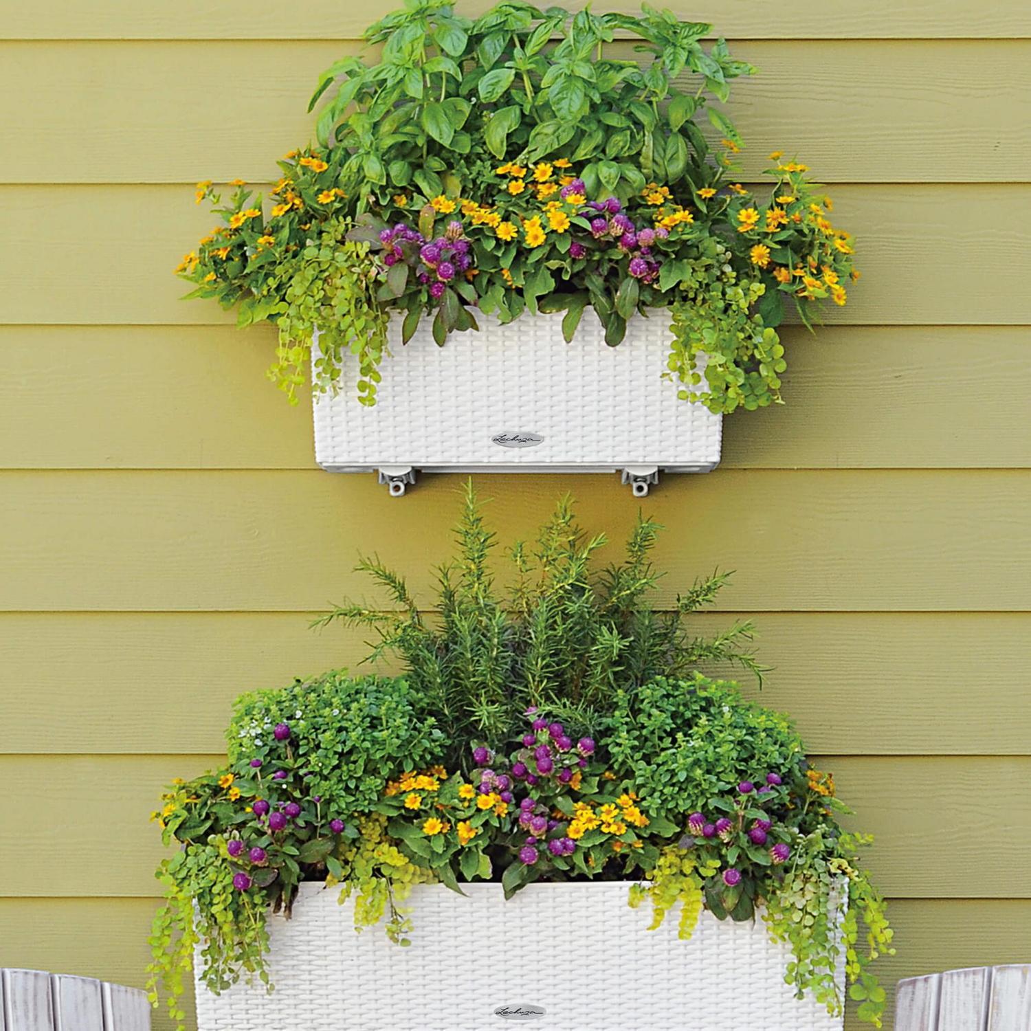 LECHUZA BALCONERA Cottage Trough Poly Resin Self-watering Planter Set