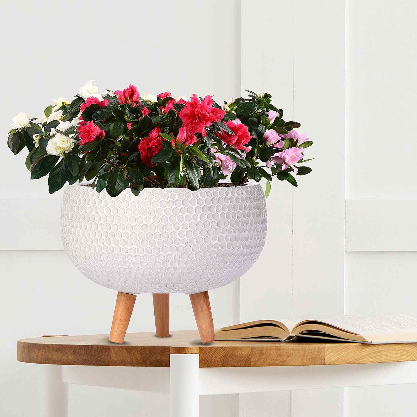 IDEALIST Lite Honeycomb Style Bowl Planter on Legs, Round Pot Plant Stand Indoor