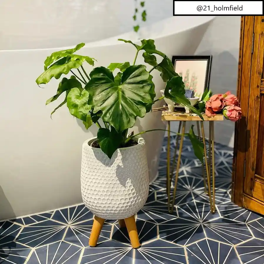 IDEALIST Lite Honeycomb Style Egg Planter on Legs, Round Pot Plant Stand Indoor