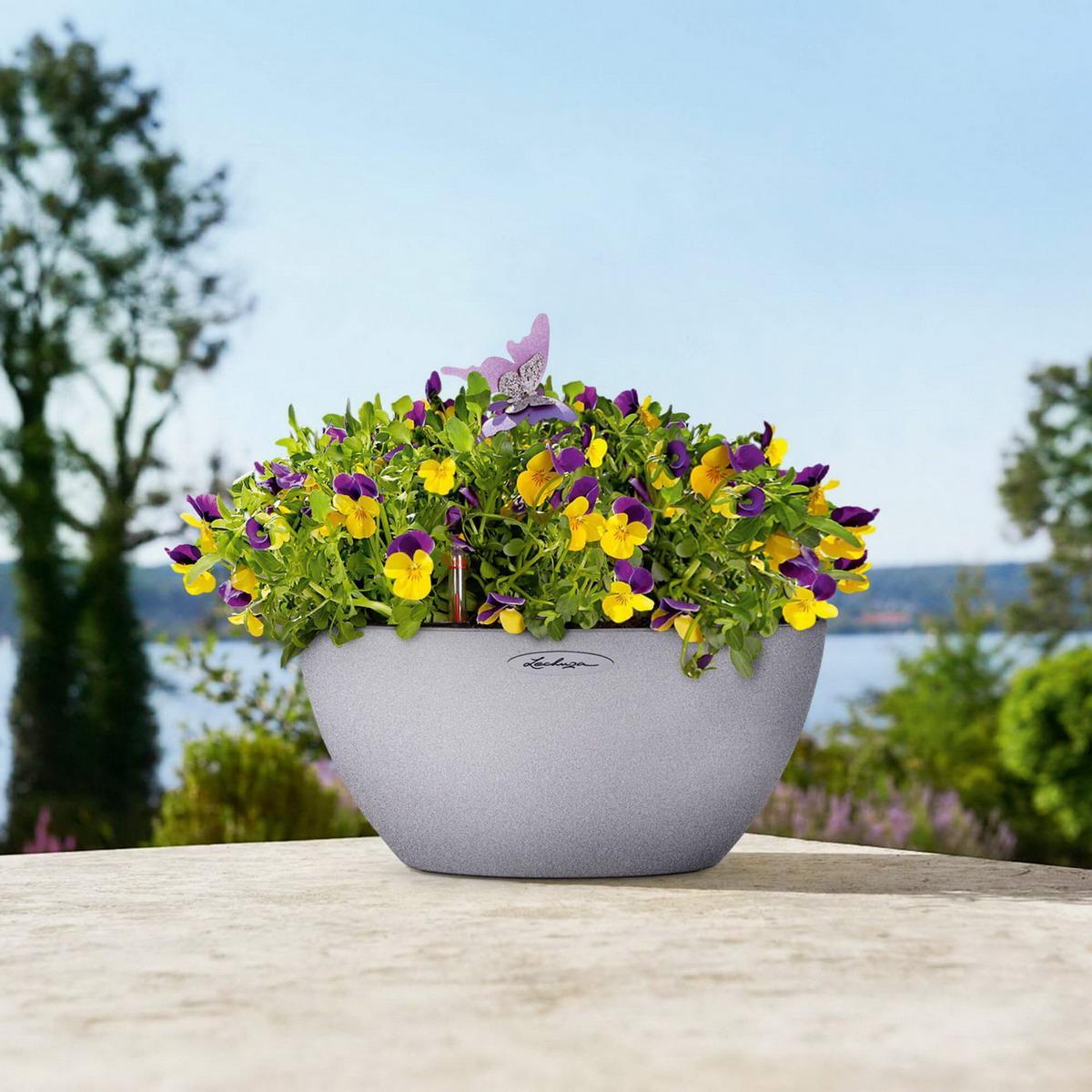 LECHUZA CUBETO COLOR Round Stone Look Poly Resin Self-watering Planter Set
