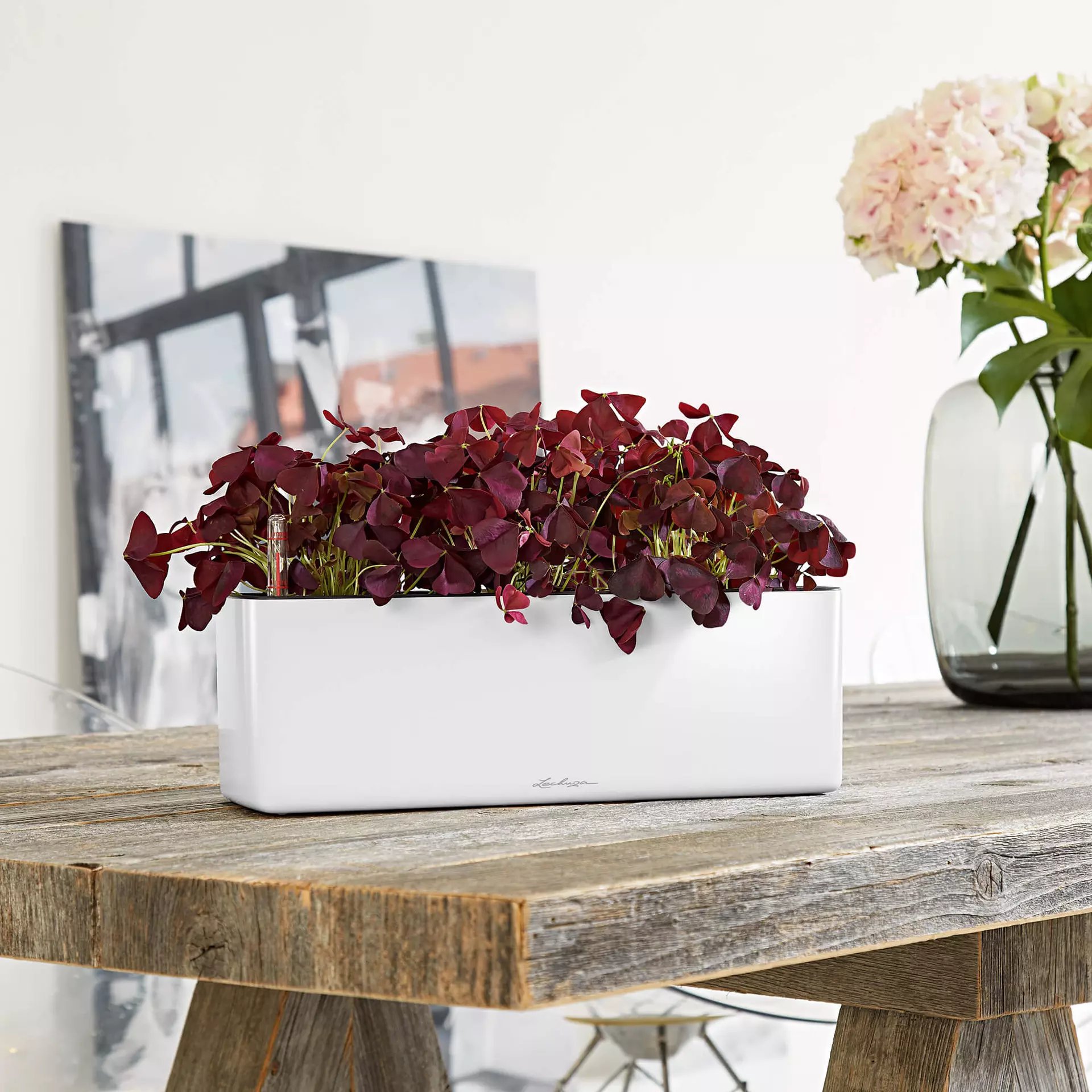 LECHUZA CUBE Glossy Triple Trough Poly Resin Self-watering Planter