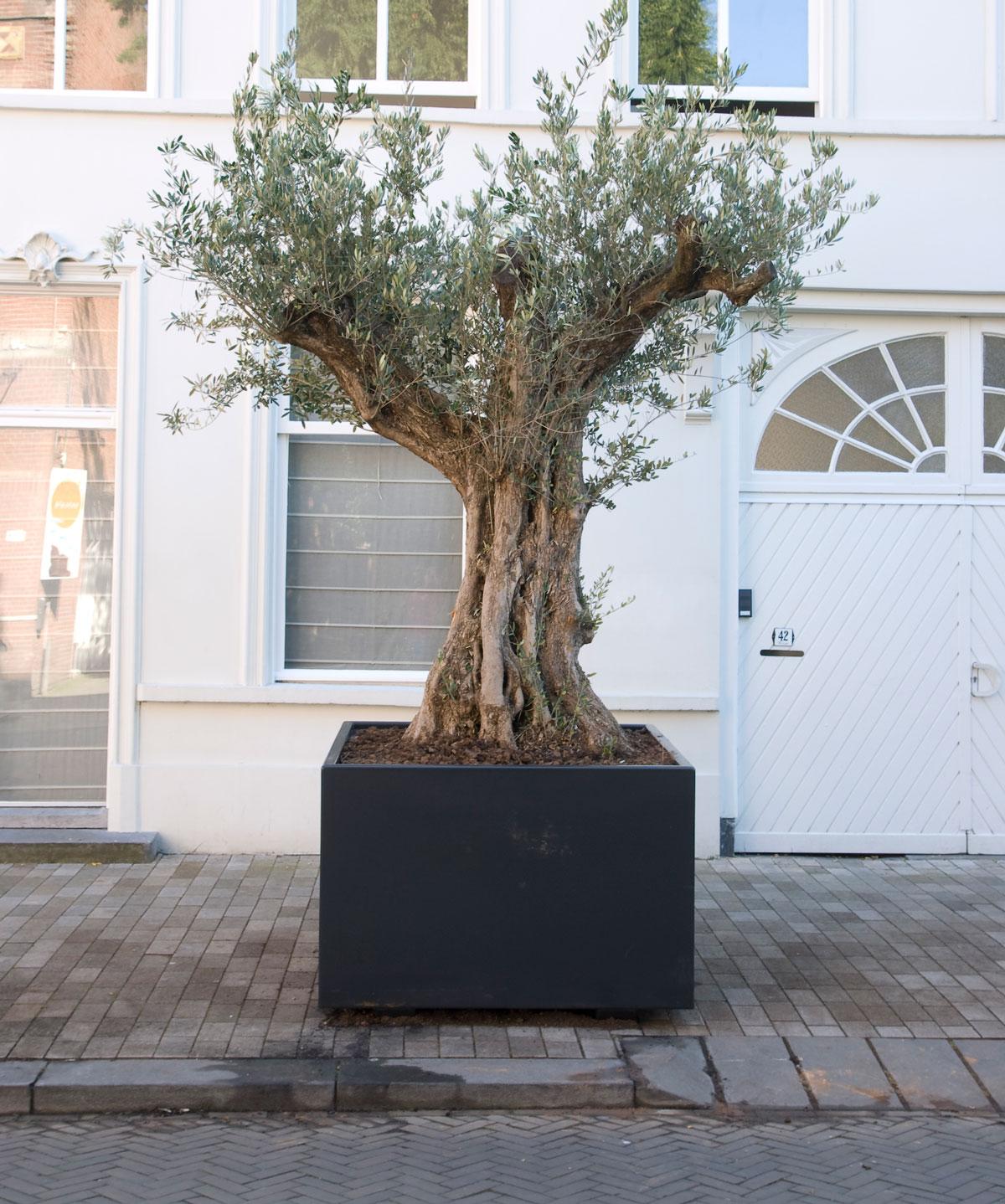 Florida Outdoor Aluminum Square Planter