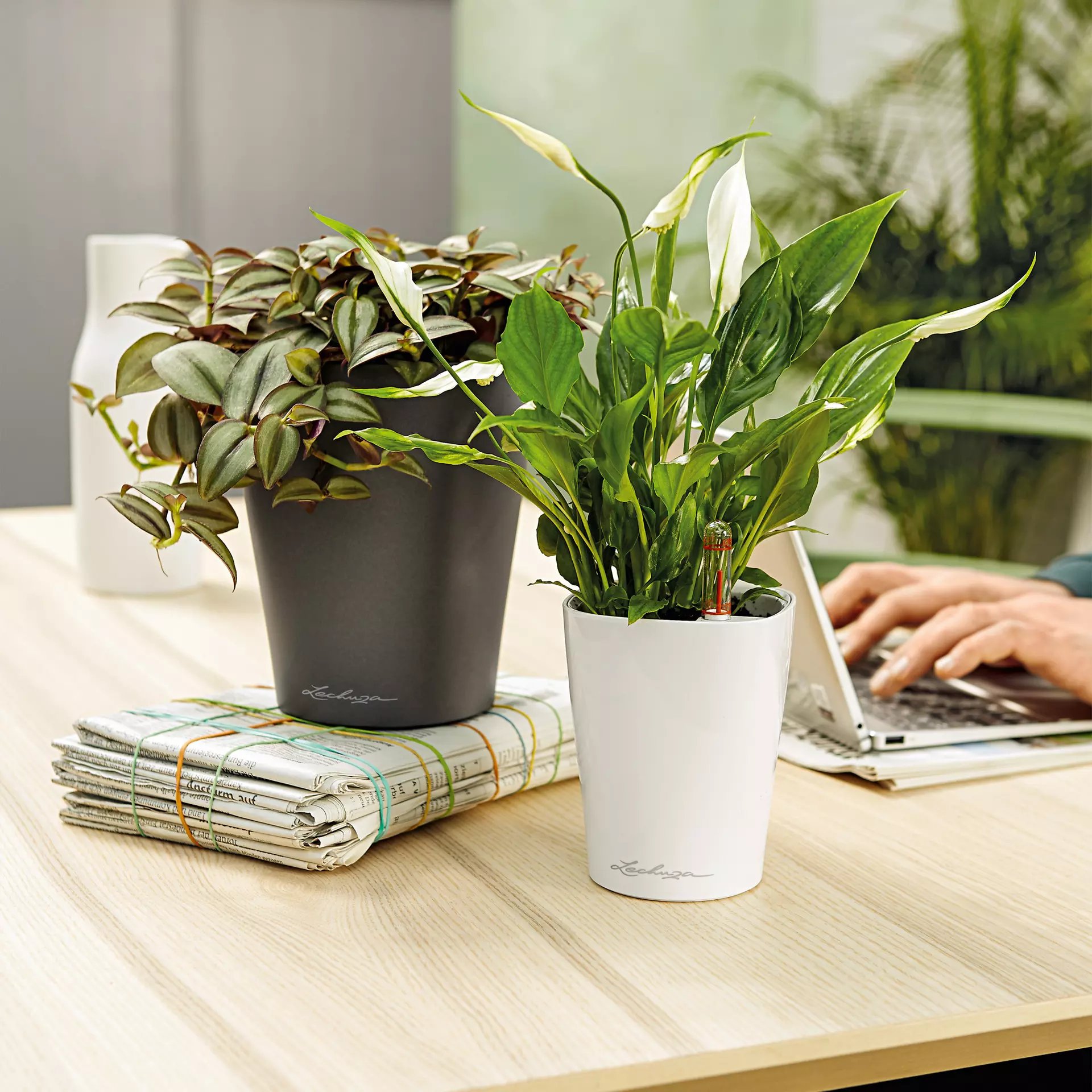 LECHUZA DELTINI|MINI-DELTINI Round Poly Resin Indoor Self-watering Planter