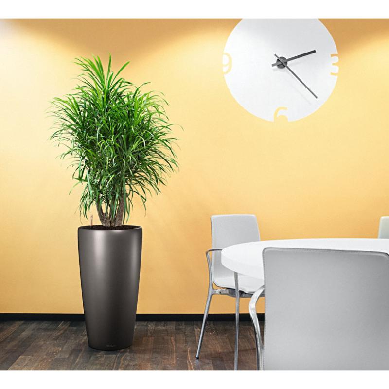 LECHUZA Rondo Round Tall Poly Resin Self-watering Planter