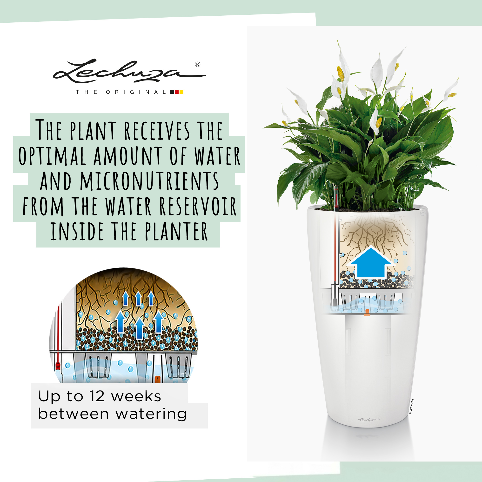 LECHUZA Rondo Round Tall Poly Resin Self-watering Planter