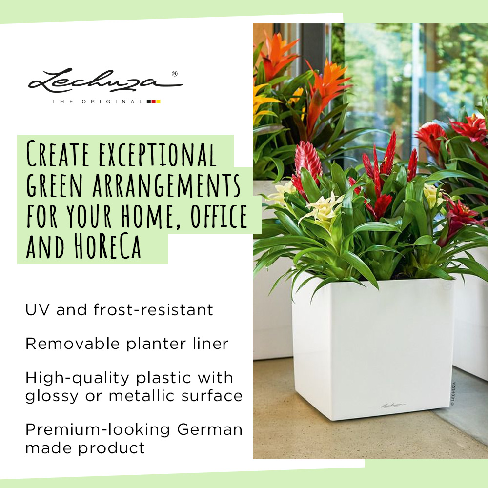 LECHUZA CUBE Square Poly Resin Self-watering Planter