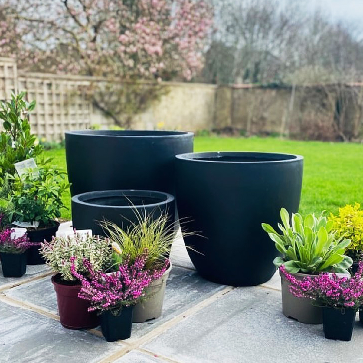 How to Choose a New Planter for Your Plants?