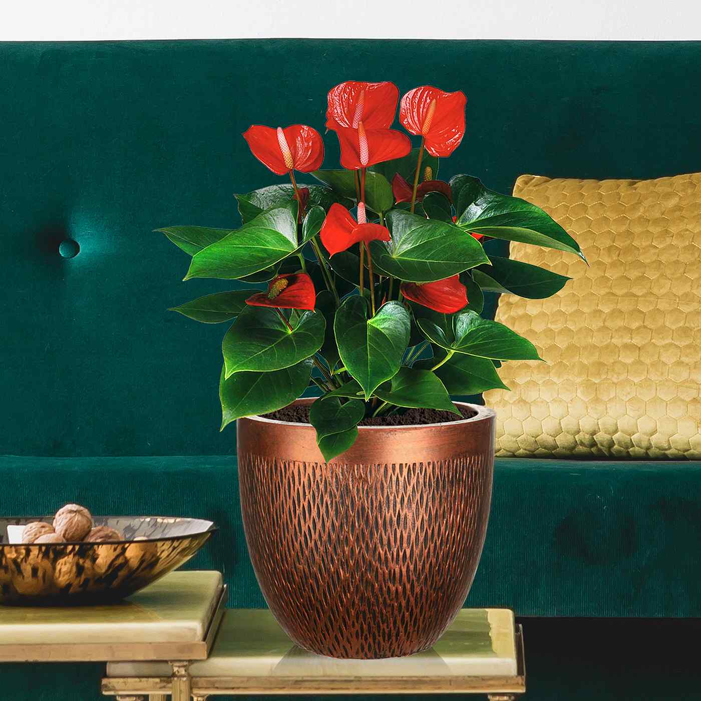 IDEALIST Lite Mesh Style Round Indoor Planter