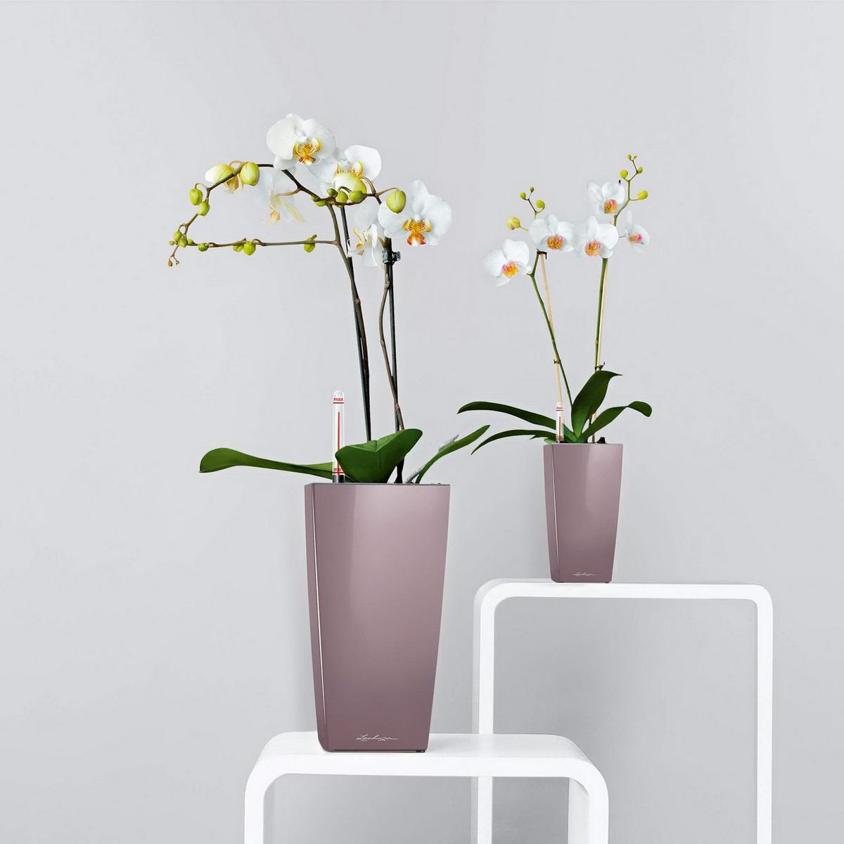 LECHUZA CUBI Square Poly Resin Indoor Self-watering Planter