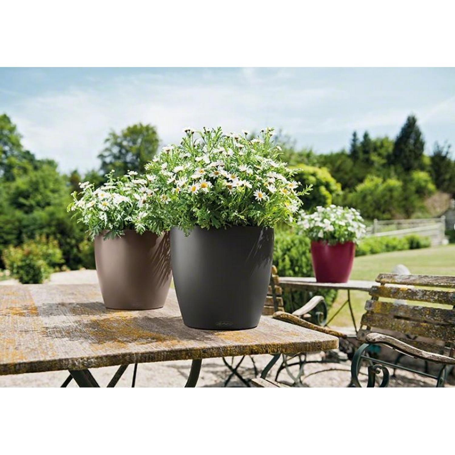 LECHUZA CLASSICO Color Round Poly Resin Self-watering Planter Set