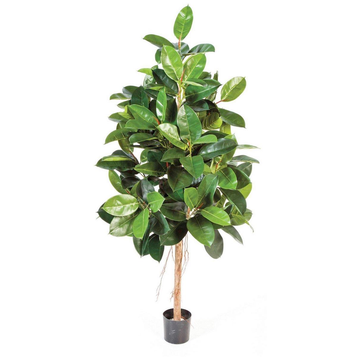 FICUS ELASTICA Artificial Tree Plant