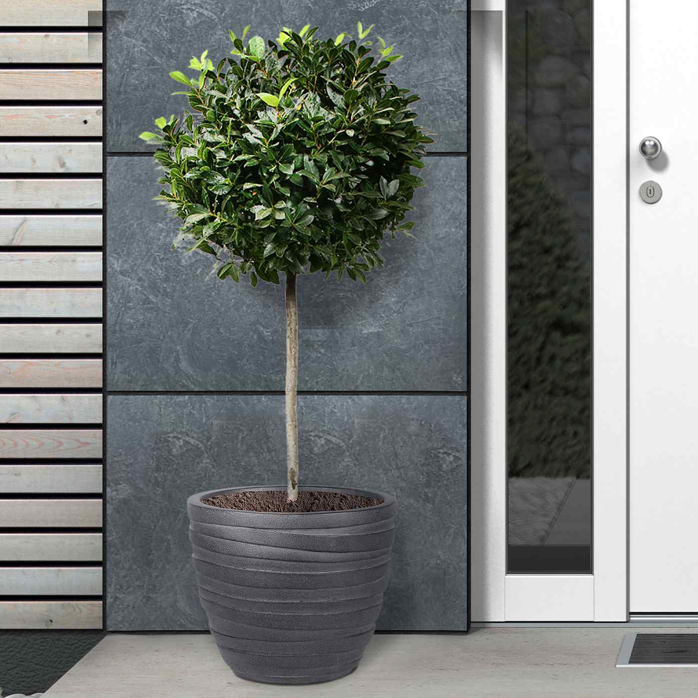 IDEALIST Lite Row Light Concrete Egg Planter