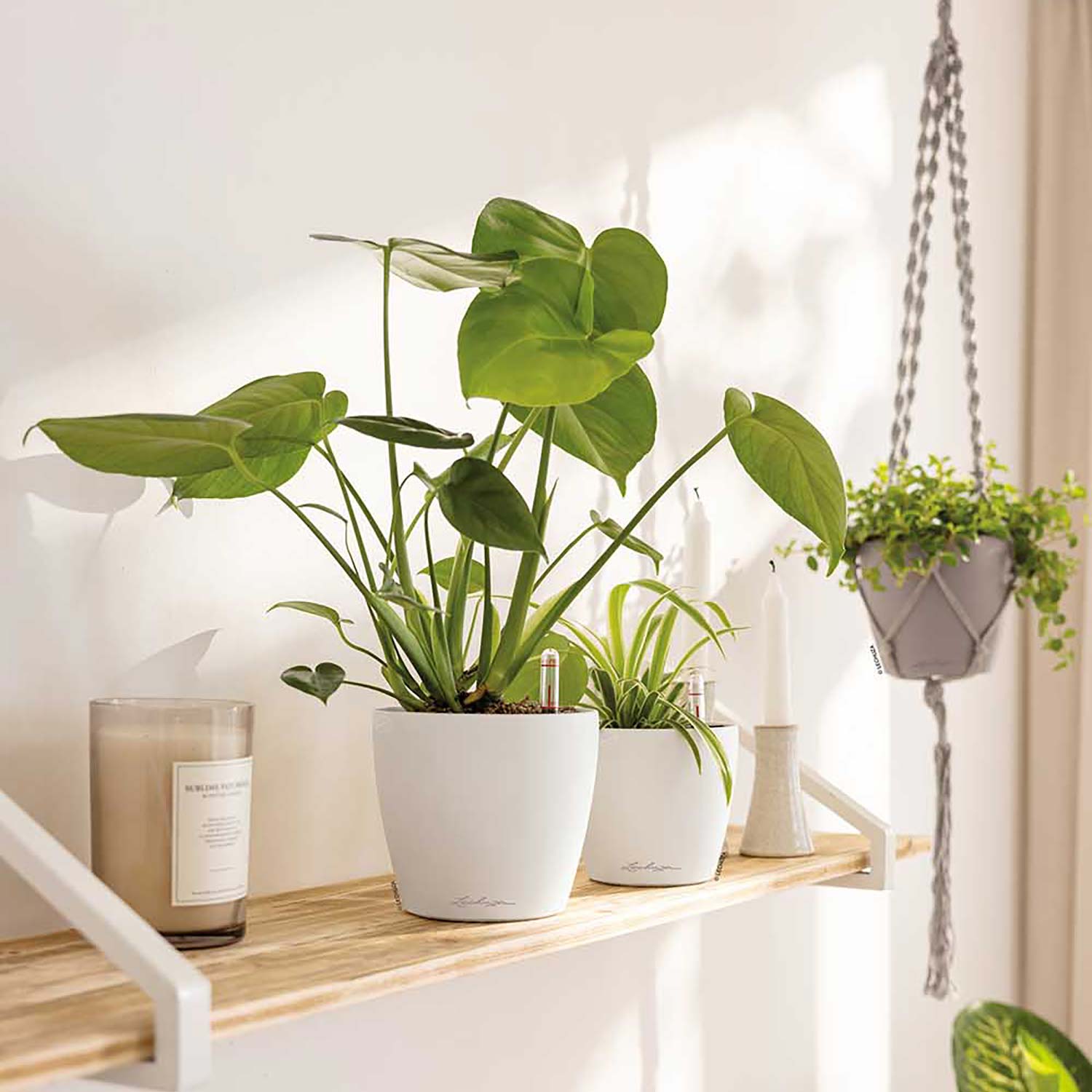 LECHUZA CLASSICO Color Round Poly Resin Self-watering Planter