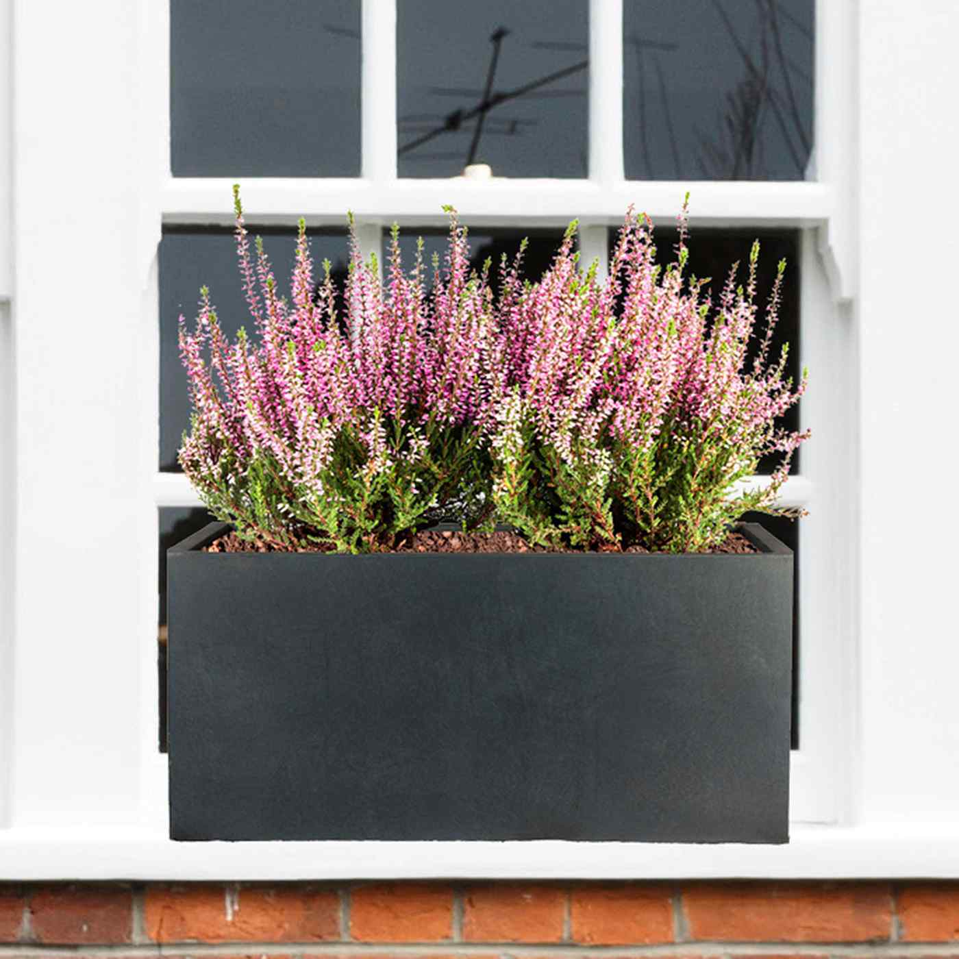 IDEALIST Lite Contemporary Light Concrete Trough Planter