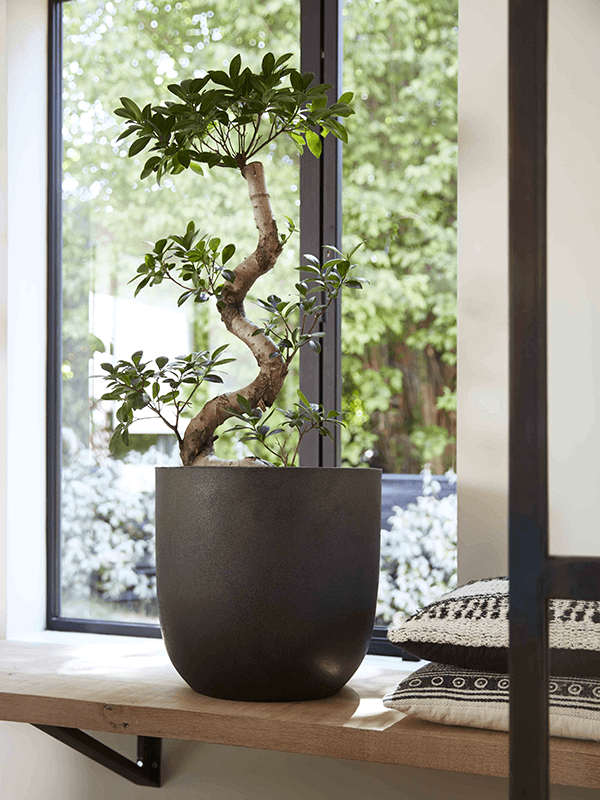 Tall Resin Planter by Cadix Capi Tutch Round