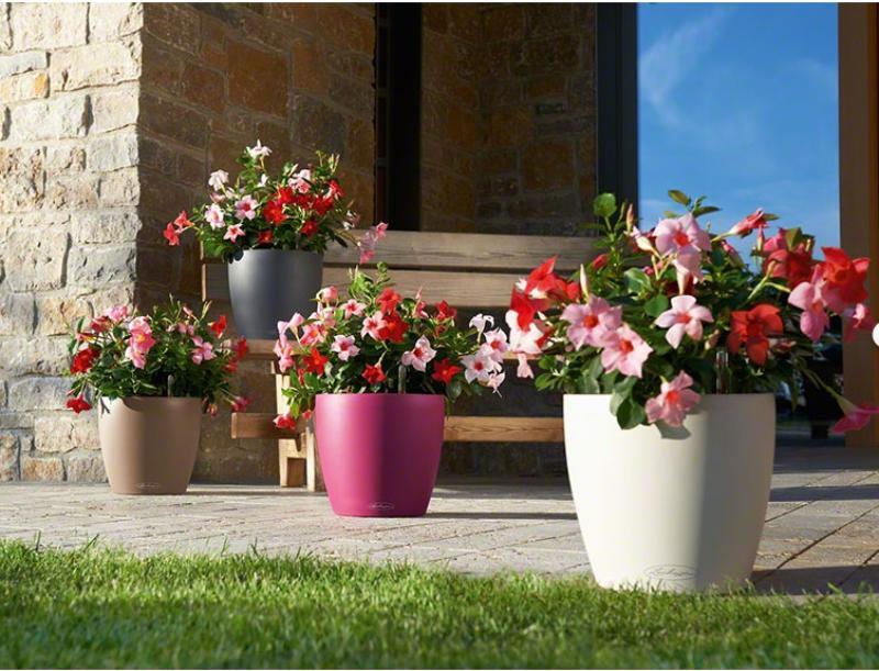 LECHUZA CLASSICO Color Round Poly Resin Self-watering Planter