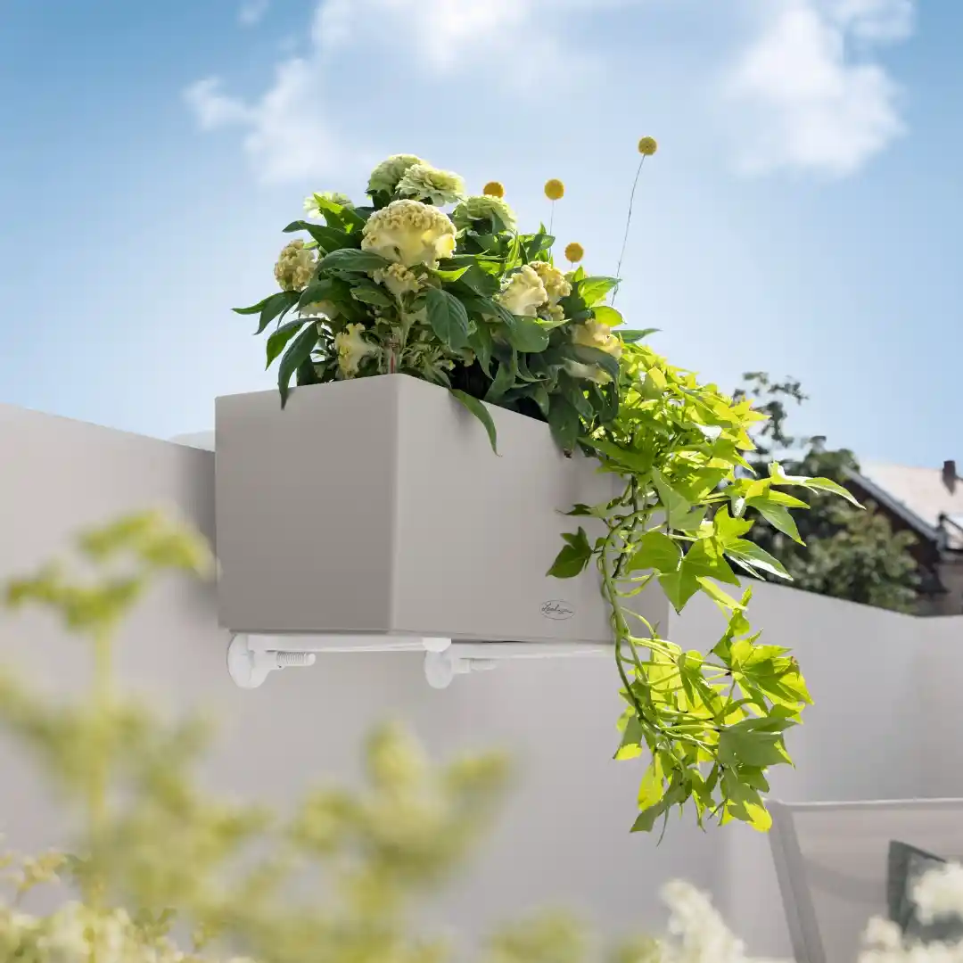 LECHUZA BALCONERA Brackets WALL