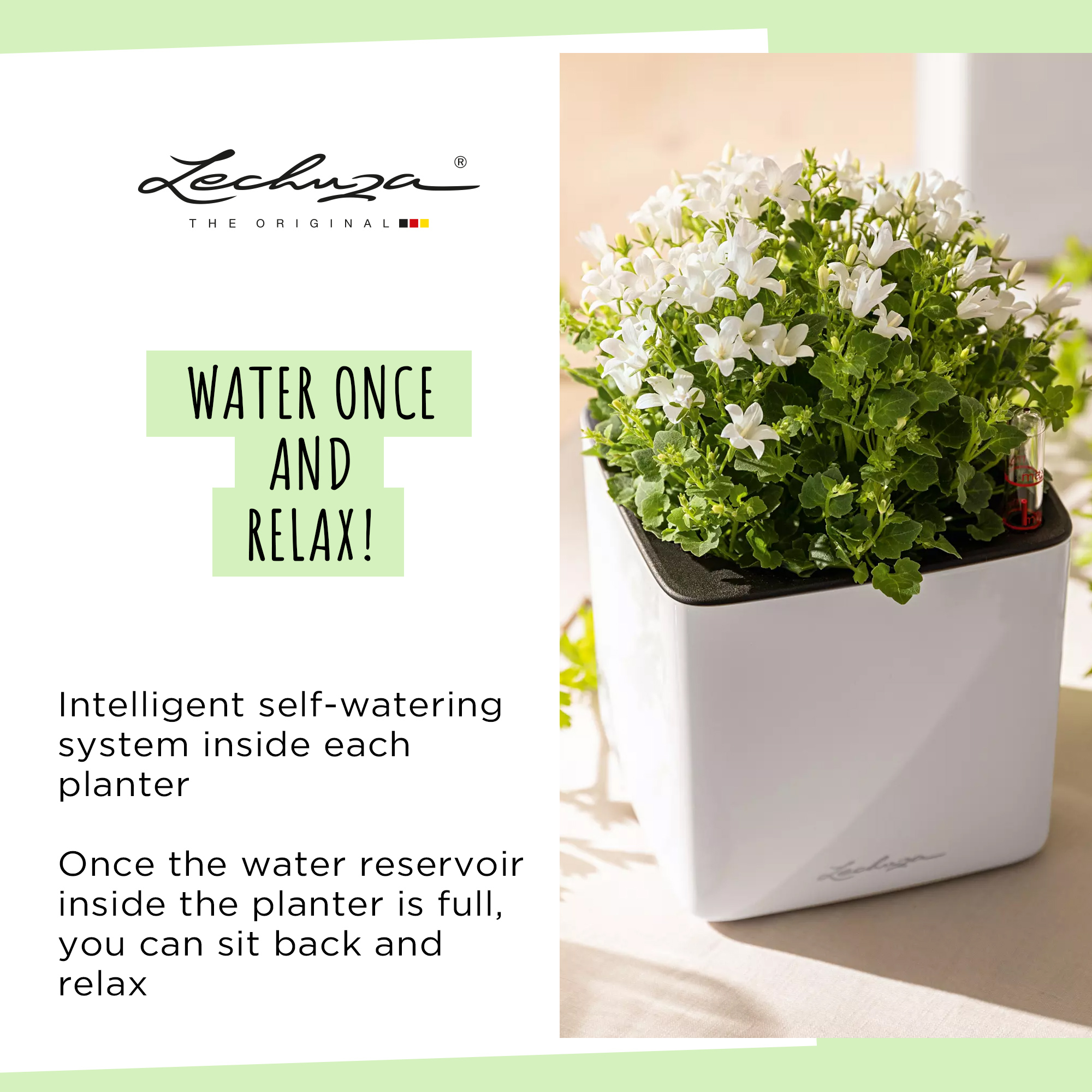 LECHUZA Green Wall Home Kit Glossy Indoor Self-watering Planter