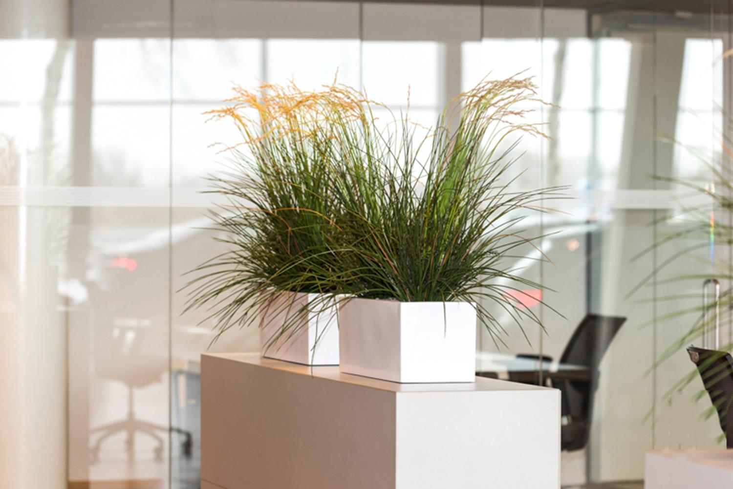 WINDOW BOX Fiberstone Low Planter by Idealist Premium Balcony Glossy