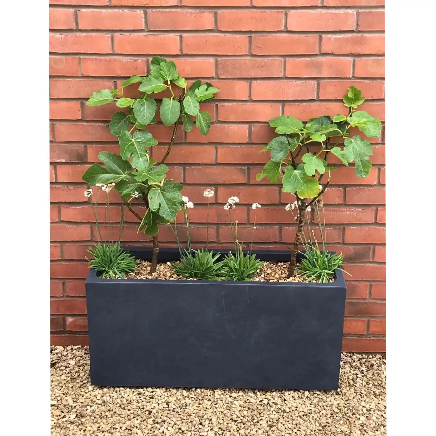IDEALIST Lite Contemporary Light Concrete High Trough Planter