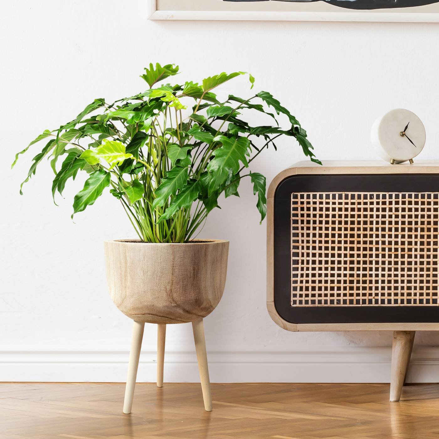 HORTICO GAIA Wooden House Planter with Legs, Tall Indoor Plant Pot Stand with Waterproof Liner