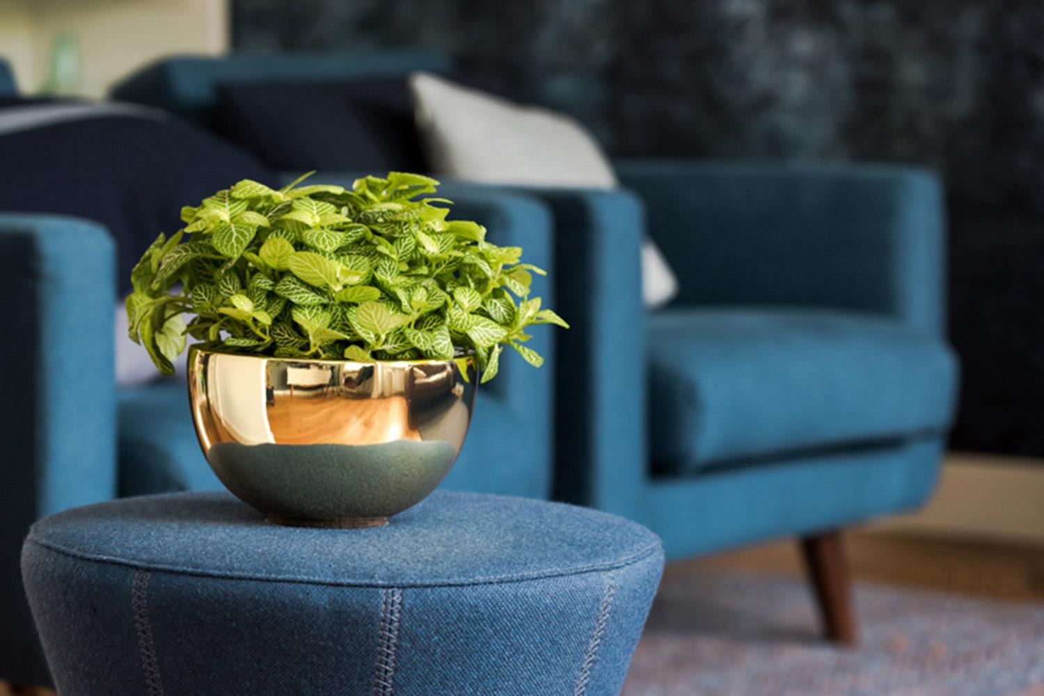 Fiberstone Glossy Peter Light Planter by Idealist Premium