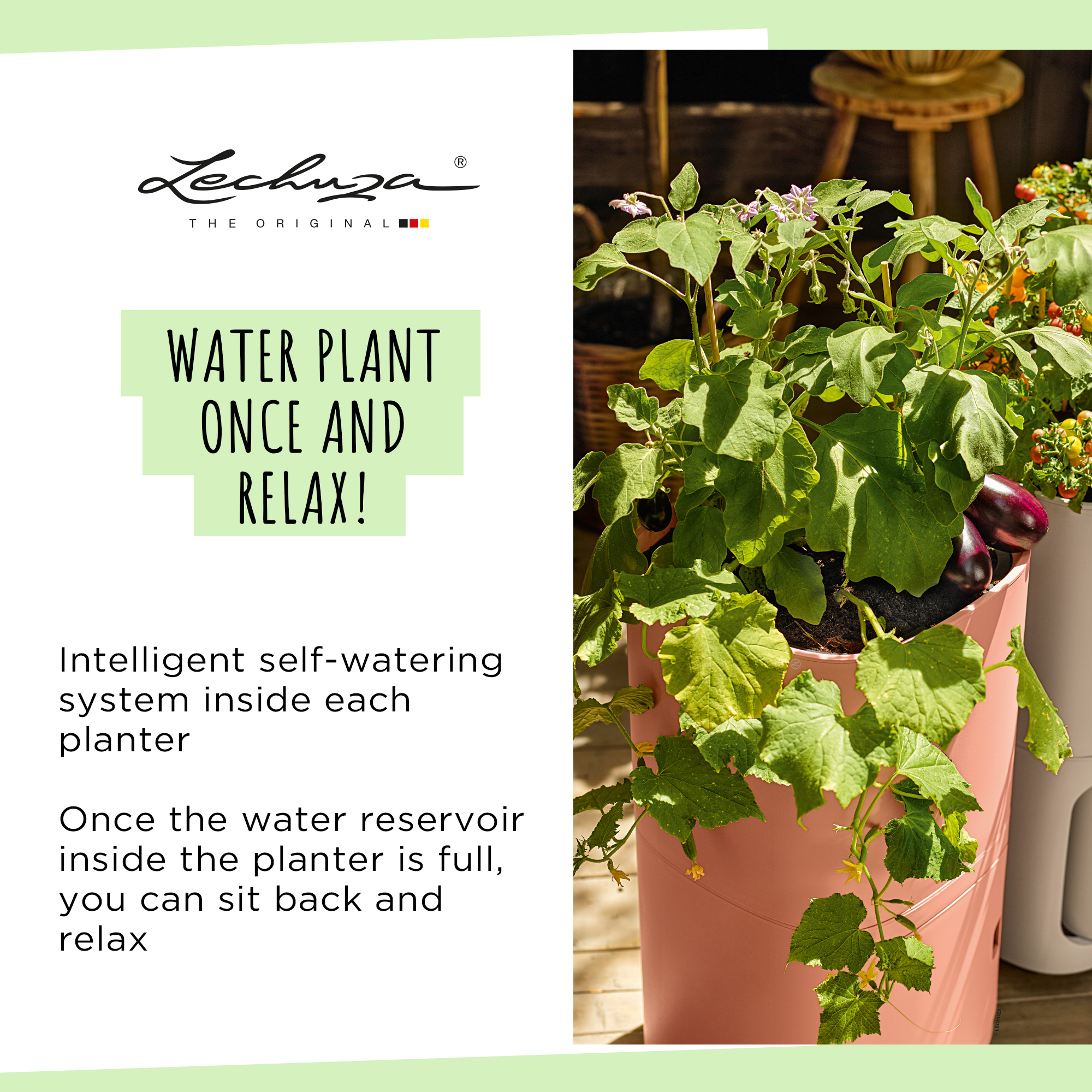 LECHUZA PILA Color Square Poly Resin Self-watering Planter