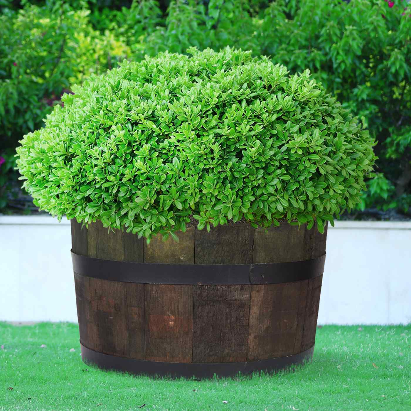 Rustic Upcycled Oak Wood Round Tub Half Barrel Outdoor Planter Made in UK by HORTICO