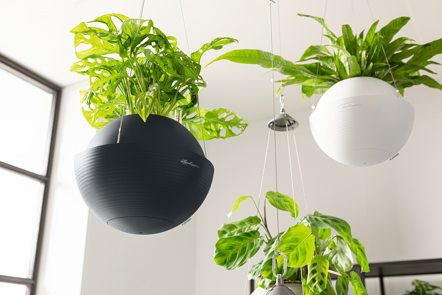 LECHUZA BOLA Color Round Poly Resin Self-watering Planter