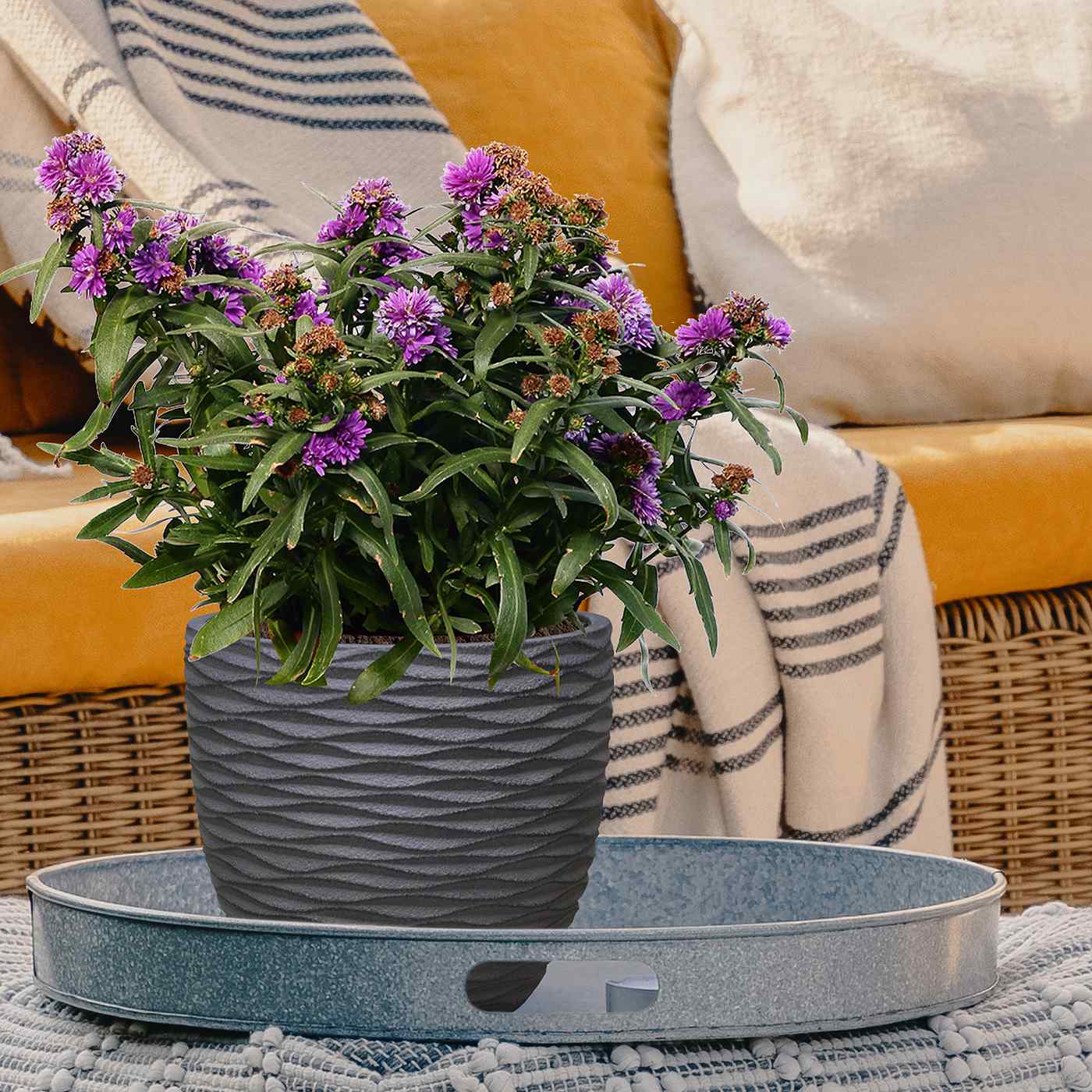 IDEALIST Lite Wave Style Outdoor Egg Planter