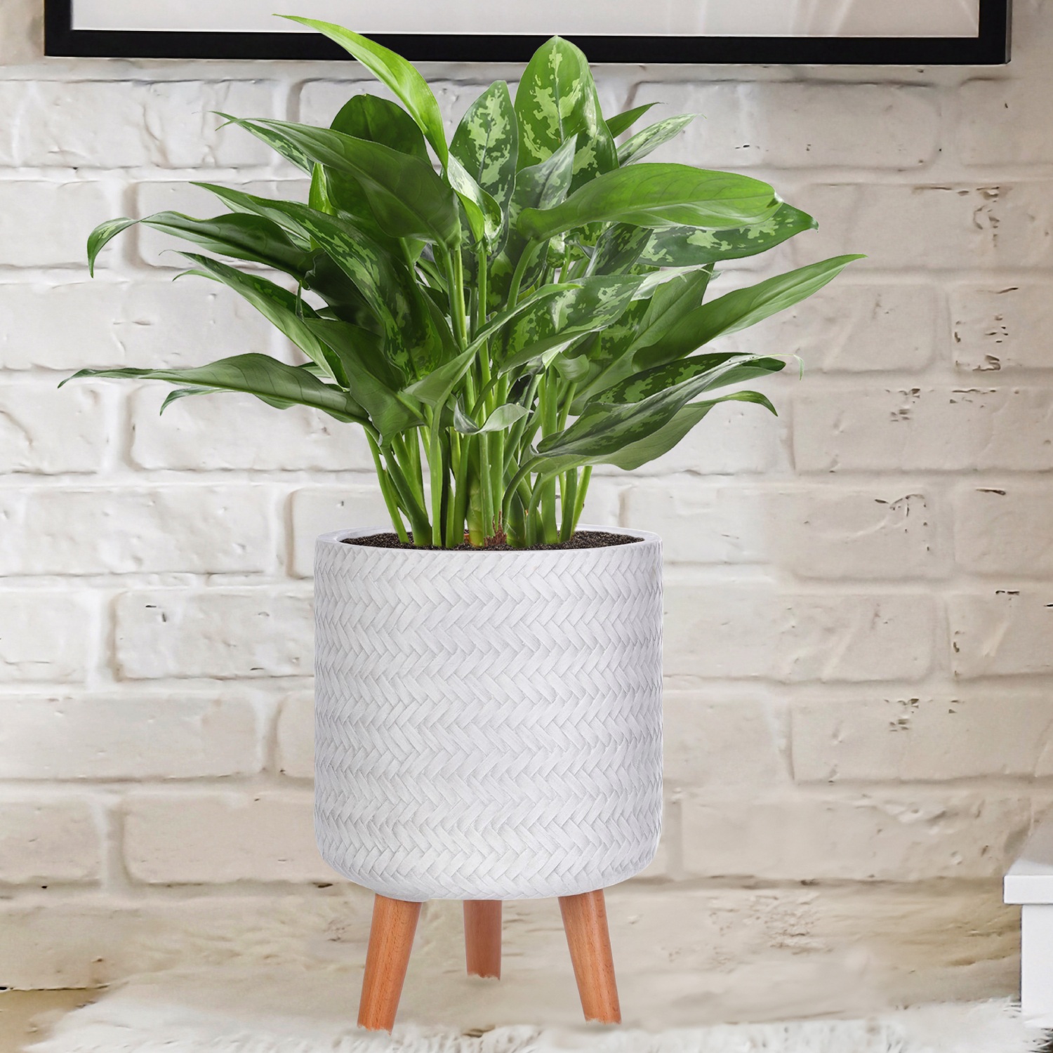 IDEALIST Lite Plaited Style Cylinder Planter on Legs, Round Pot Plant Stand Indoor