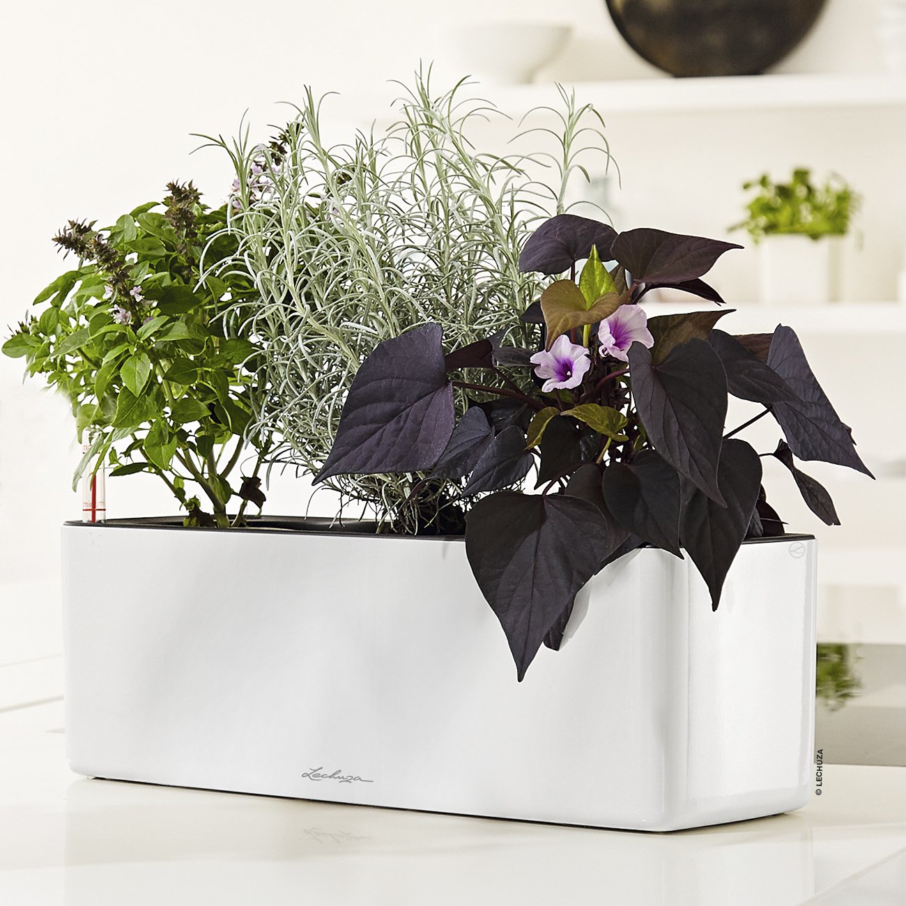 LECHUZA CUBE Glossy Triple Trough Poly Resin Self-watering Planter