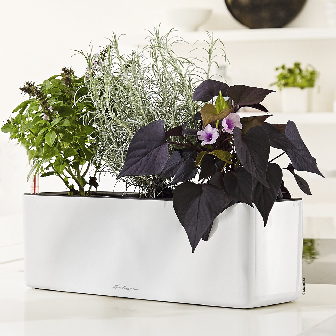LECHUZA CUBE Glossy Triple Trough Poly Resin Self-watering Planter