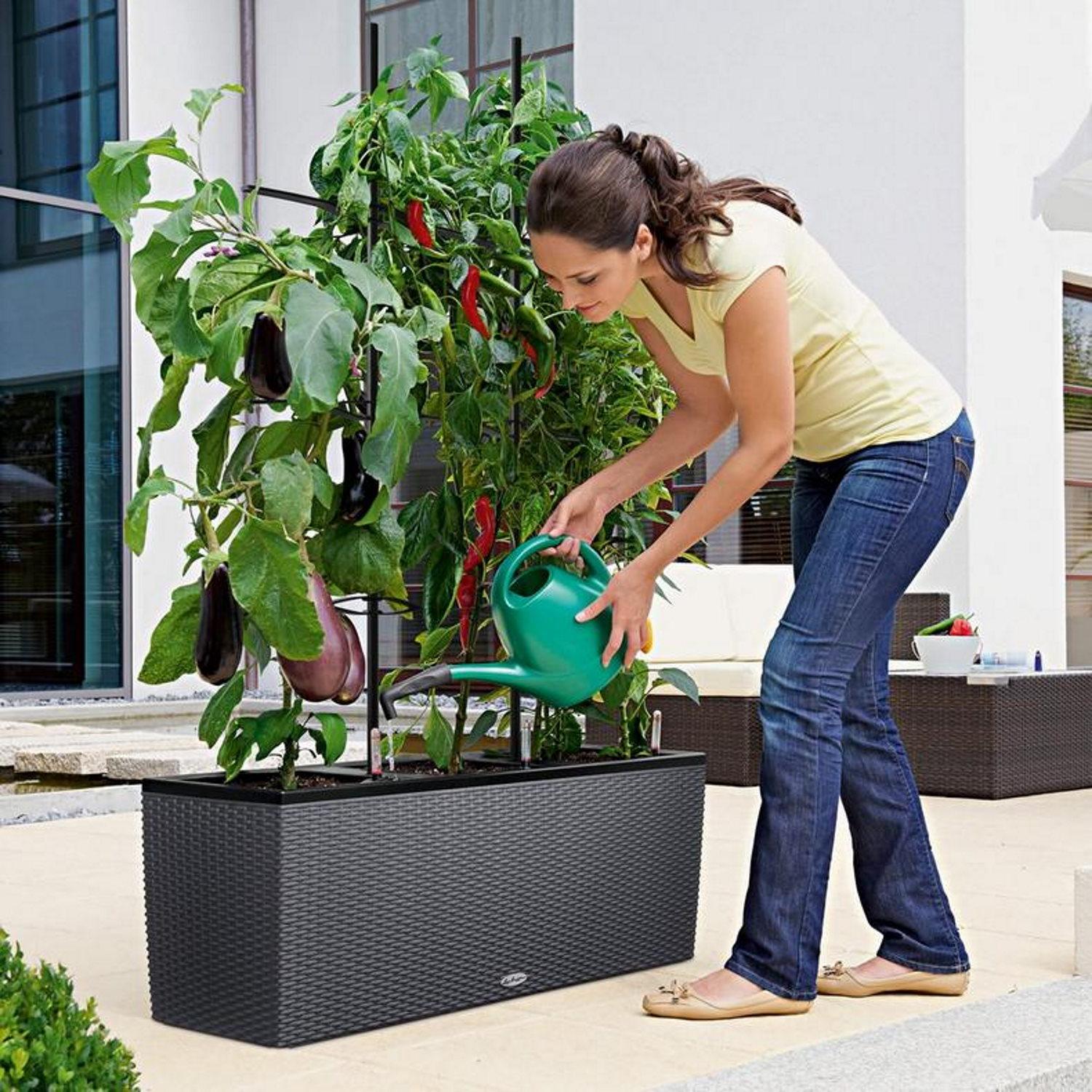 LECHUZA TRIO Cottage Trough Poly Resin Self-watering Planter