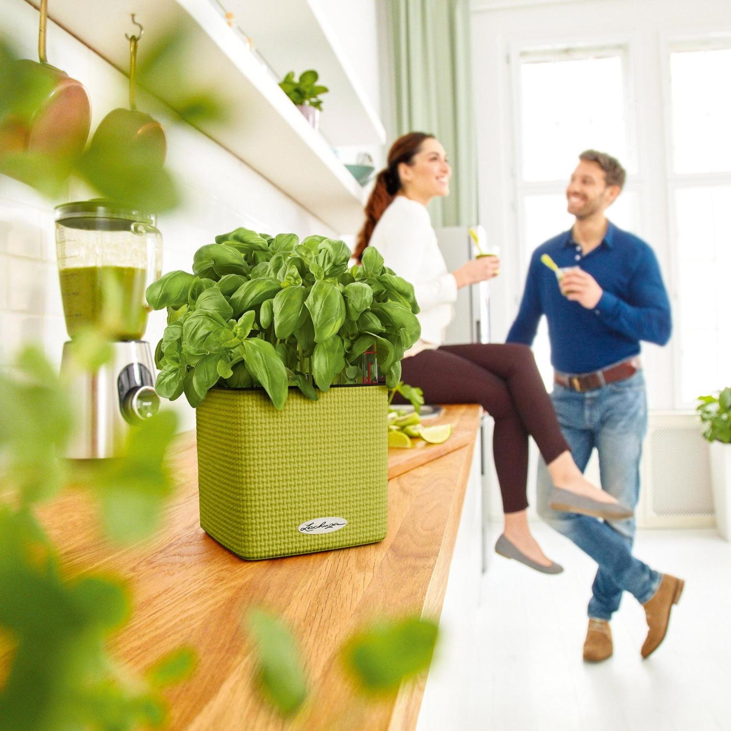 LECHUZA CUBE Color Square Poly Resin Indoor Self-watering Planter