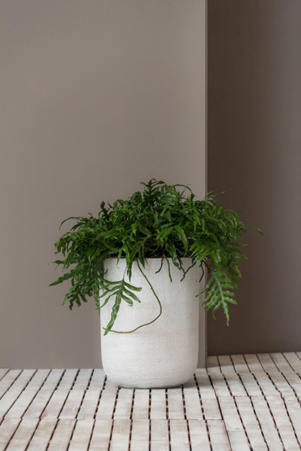Fibrestone Dice Round Planter by Idealist Premium