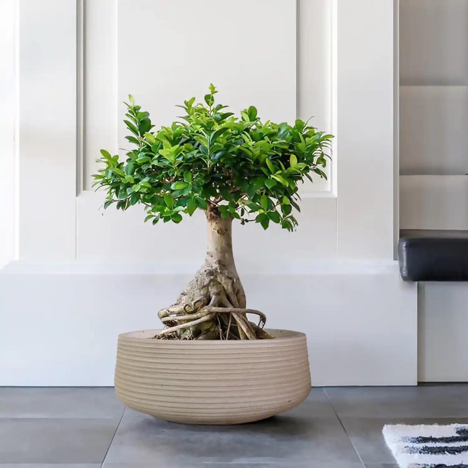 IDEALIST Lite Large Ribbed Light Concrete Bowl Planter