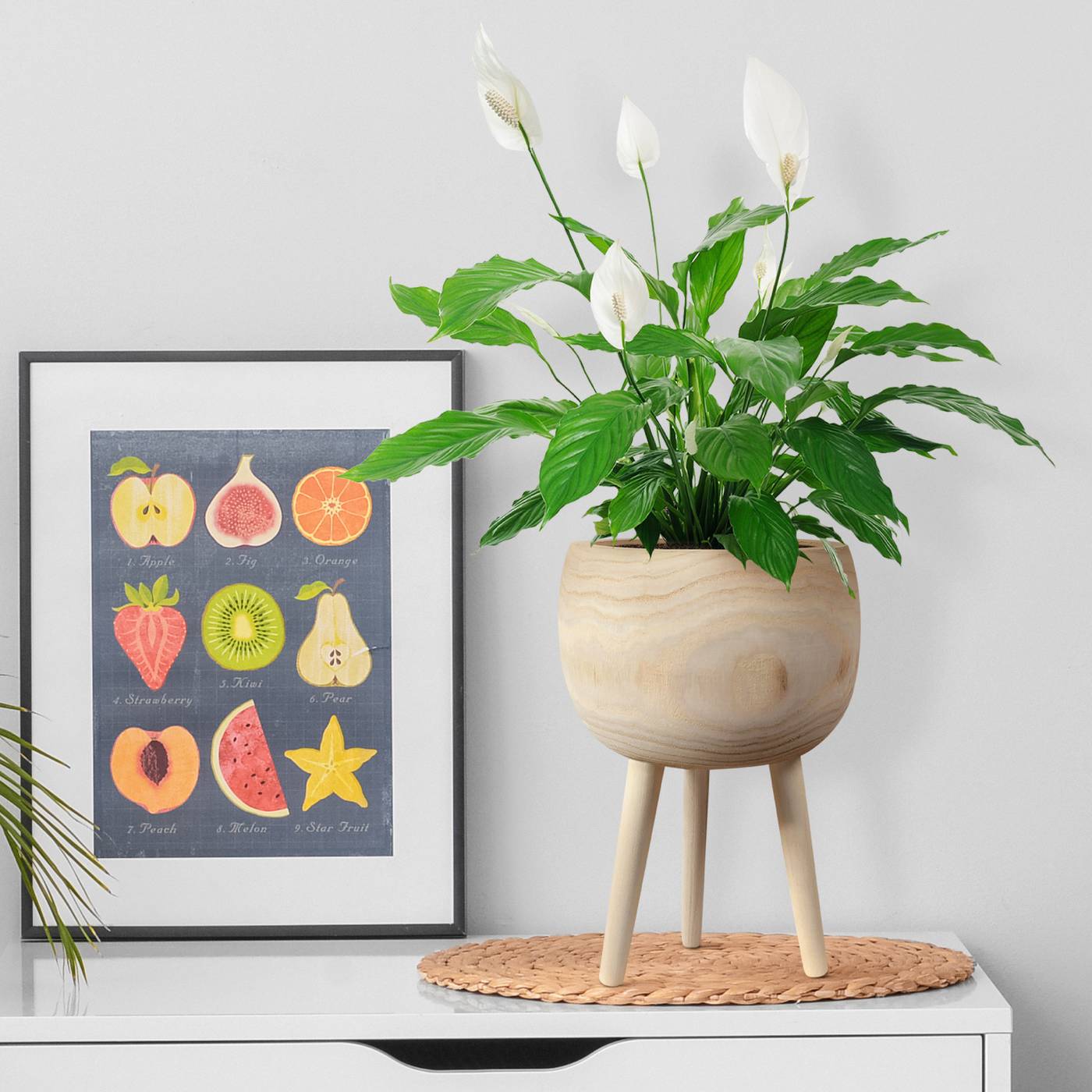 HORTICO TREND Wooden House Planter with Legs, Tall Indoor Plant Pot Stand with Waterproof Liner