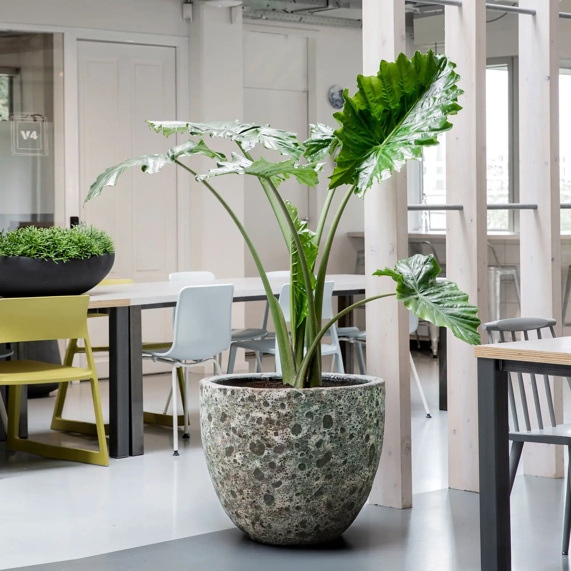 Lava Ceramic Round Planter | Indoor and Outdoor Plant Pot