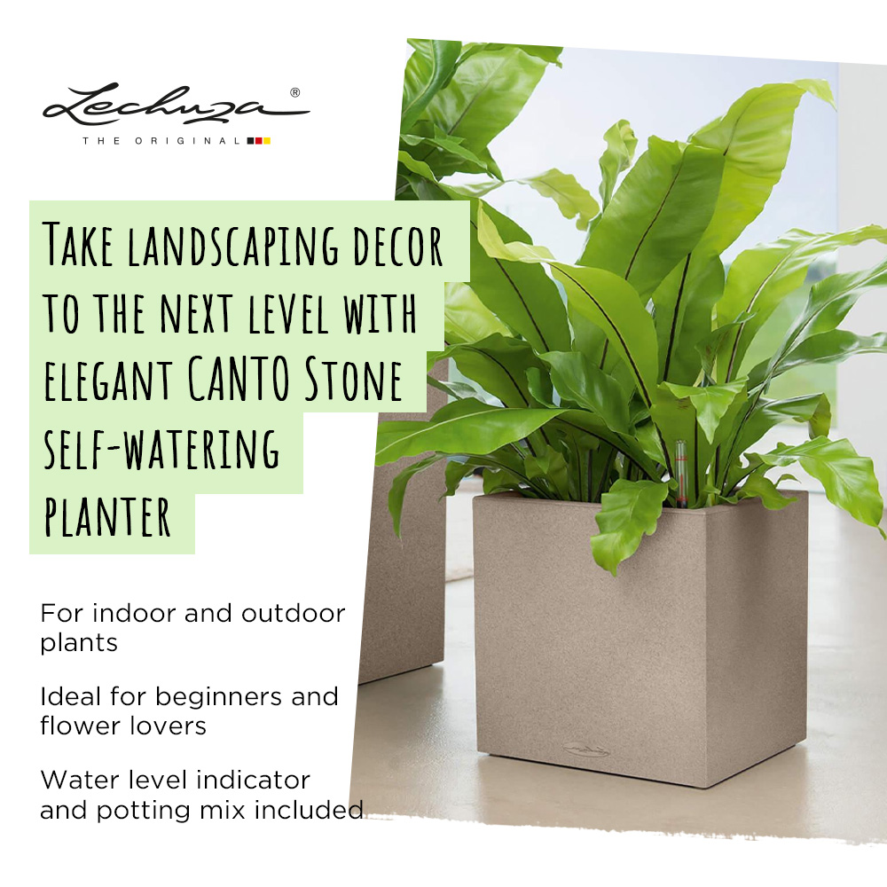 LECHUZA CANTO Stone Low Square Poly Resin Self-watering Planter