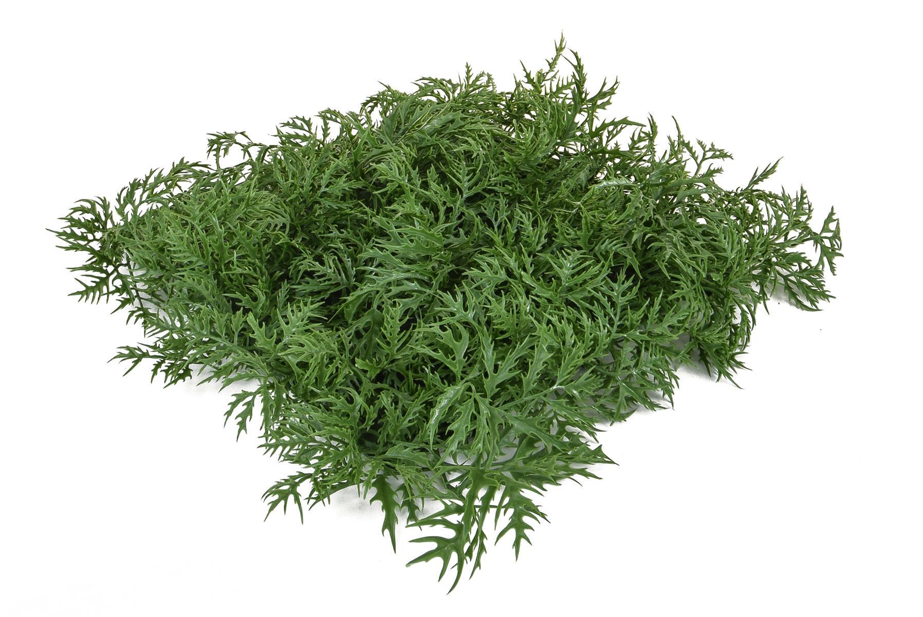 Topiary Mat Aralia UV-resistant Artificial Grass Plant