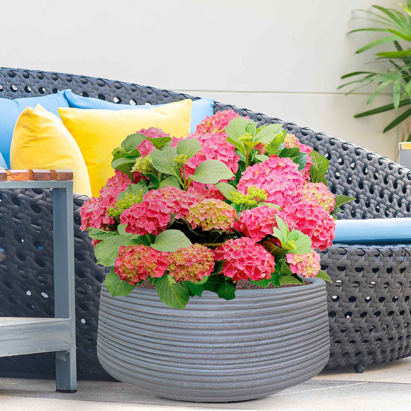 IDEALIST Lite Large Ribbed Light Concrete Bowl Planter