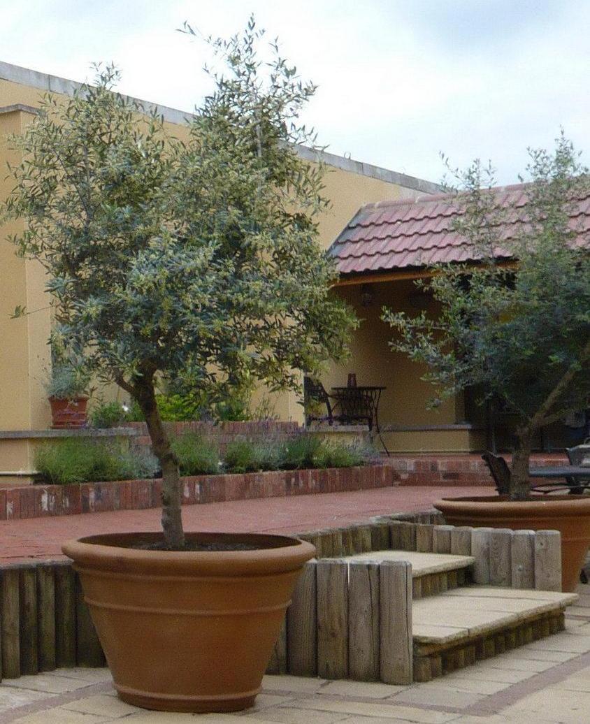 Large Pot Fiberglass Round Tall Terracotta Planter In/Out