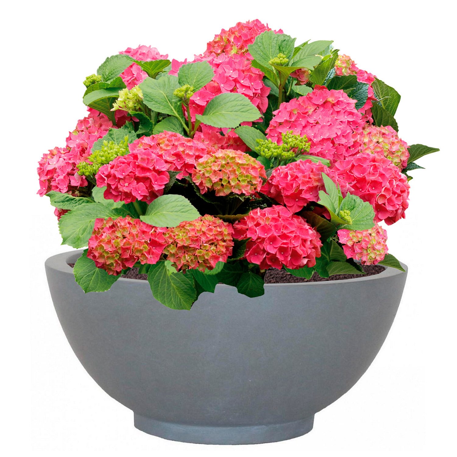 IDEALIST Lite Dish Style Smooth Bowl Outdoor Planter