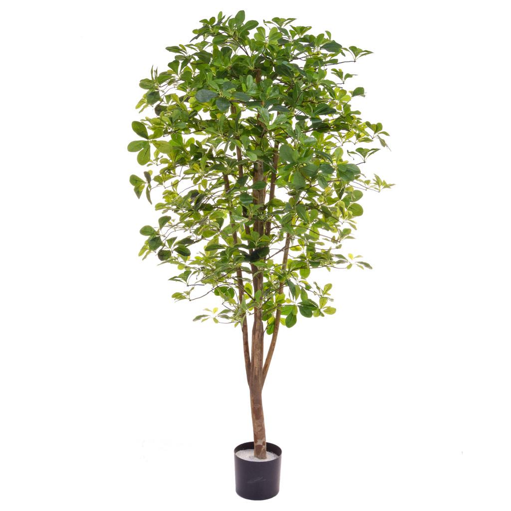Schefflera Artificial Tree Plant