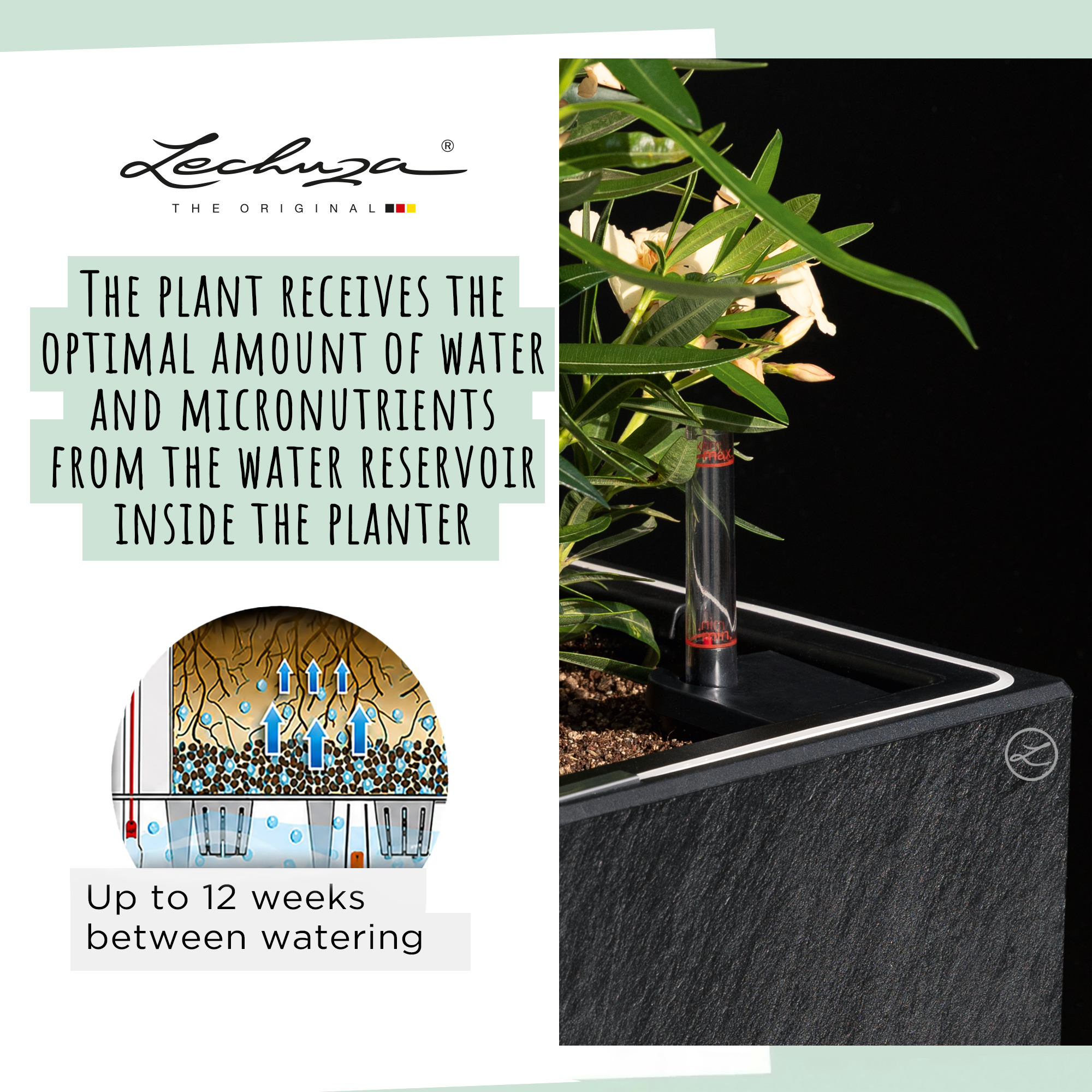 LECHUZA CANTO Slatestone High Square Tall Poly Resin Self-watering Planter