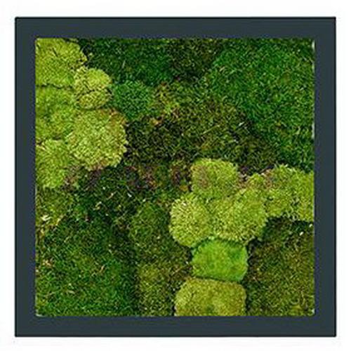 Moss Painting Stiel Square